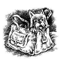 Иллюстрация к книге — Секрет пропавшего альпиниста [The-secret-of-the-missing-climbers-08.jpg]