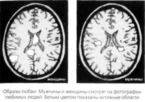 Иллюстрация к книге — Почему мужчины хотят секса, а женщины любви [Why-do-men-want-sex-women-love-05.jpg]