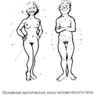 Иллюстрация к книге — Почему мужчины хотят секса, а женщины любви [Why-do-men-want-sex-women-love-32.jpg]