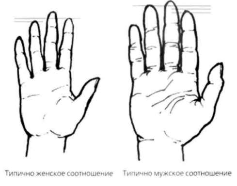 Иллюстрация к книге — Почему мужчины хотят секса, а женщины любви [Why-do-men-want-sex-women-love-36.jpg]