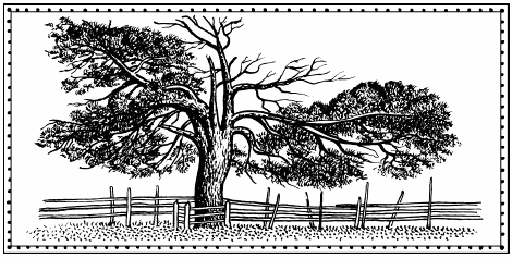 Иллюстрация к книге — Мы - славяне! [We-the-Slavs-024.png]