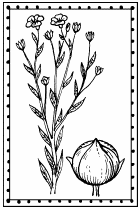 Иллюстрация к книге — Мы - славяне! [We-the-Slavs-152.png]