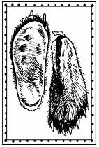 Иллюстрация к книге — Мы - славяне! [We-the-Slavs-182.png]