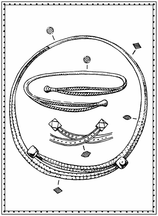 Иллюстрация к книге — Мы - славяне! [We-the-Slavs-222.png]