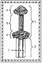 Иллюстрация к книге — Мы - славяне! [We-the-Slavs-260.png]