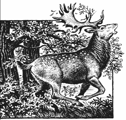 Иллюстрация к книге — Мы - славяне! [We-the-Slavs-285.png]