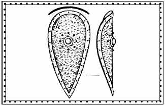 Иллюстрация к книге — Мы - славяне! [We-the-Slavs-326.png]