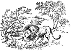 Иллюстрация к книге — Племянник Чародея [Magicians-nephew-17.jpg]