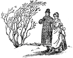 Иллюстрация к книге — Племянник Чародея [Magicians-nephew-25.jpg]