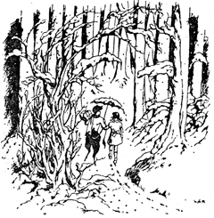 Иллюстрация к книге — Лев, Колдунья и Платяной шкаф [Lion-Witch-and-Wardrobe-03.jpg]