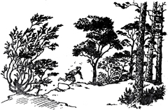 Иллюстрация к книге — Конь и его мальчик [Horse-and-His-Boy-18.jpg]