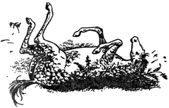 Иллюстрация к книге — Конь и его мальчик [Horse-and-His-Boy-27.jpg]