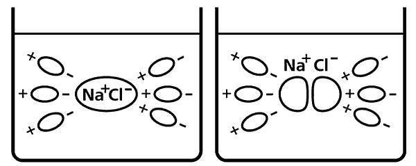 Иллюстрация к книге — Вода, которую мы пьем [The-water-we-drink-002.png]