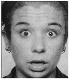 Иллюстрация к книге — Психология эмоций. Я знаю, что ты чувствуешь [I-know-how-you-feel-065.jpg]