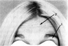 Иллюстрация к книге — Узнай лжеца по выражению лица [Explore-the-liars-expression-012.jpg]