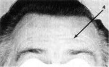 Иллюстрация к книге — Узнай лжеца по выражению лица [Explore-the-liars-expression-031.jpg]