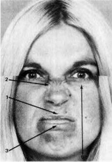 Иллюстрация к книге — Узнай лжеца по выражению лица [Explore-the-liars-expression-064.jpg]