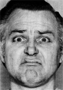 Иллюстрация к книге — Узнай лжеца по выражению лица [Explore-the-liars-expression-078.jpg]