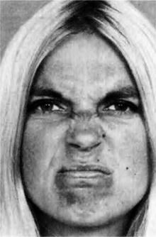 Иллюстрация к книге — Узнай лжеца по выражению лица [Explore-the-liars-expression-080.jpg]