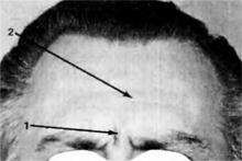 Иллюстрация к книге — Узнай лжеца по выражению лица [Explore-the-liars-expression-081.jpg]