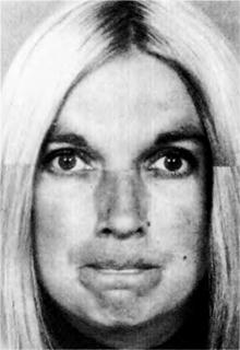 Иллюстрация к книге — Узнай лжеца по выражению лица [Explore-the-liars-expression-098.jpg]