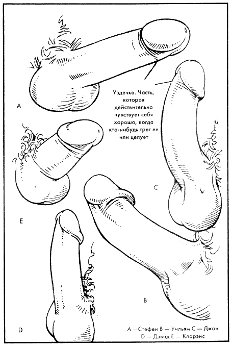 Иллюстрация к книге — Библия секса [Bible-Sex-011.png]