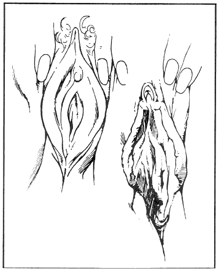 Иллюстрация к книге — Библия секса [Bible-Sex-017.png]