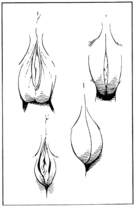 Иллюстрация к книге — Библия секса [Bible-Sex-019.png]