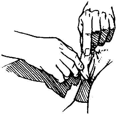 Иллюстрация к книге — Библия секса [Bible-Sex-024.png]