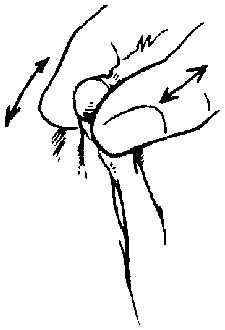 Иллюстрация к книге — Библия секса [Bible-Sex-026.png]