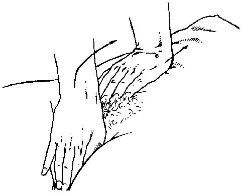 Иллюстрация к книге — Библия секса [Bible-Sex-029.png]