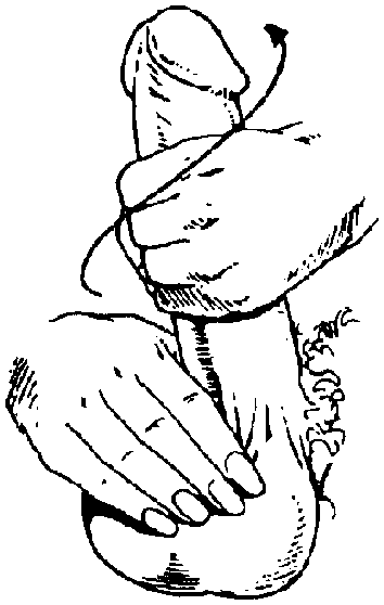 Иллюстрация к книге — Библия секса [Bible-Sex-035.png]