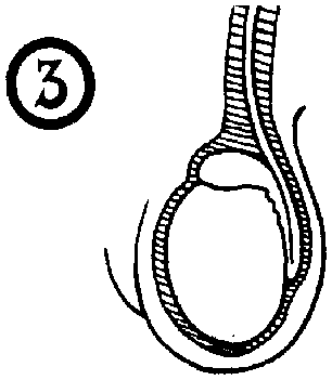 Иллюстрация к книге — Библия секса [Bible-Sex-042.png]