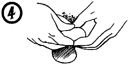 Иллюстрация к книге — Библия секса [Bible-Sex-043.png]