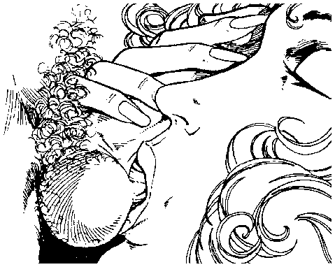 Иллюстрация к книге — Библия секса [Bible-Sex-053.png]