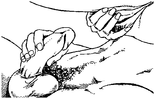 Иллюстрация к книге — Библия секса [Bible-Sex-057.png]