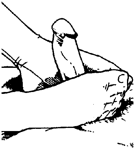 Иллюстрация к книге — Библия секса [Bible-Sex-075.png]