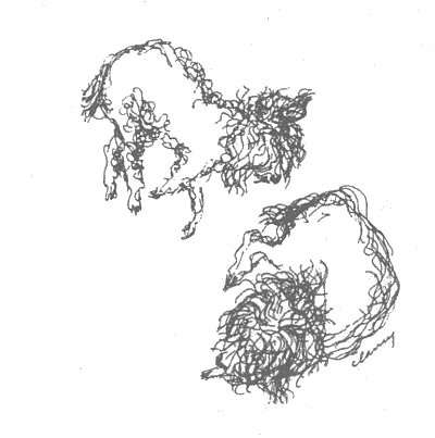 Иллюстрация к книге — Прованс навсегда [Toujours-Provence-003.png]