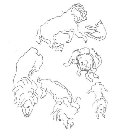 Иллюстрация к книге — Прованс навсегда [Toujours-Provence-015.png]