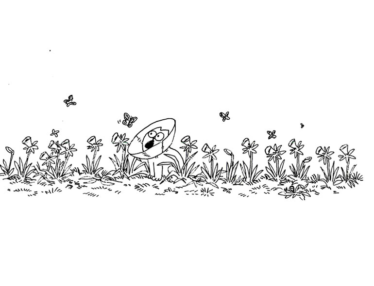 Иллюстрация к книге — Кот Саймона [Simons-Cat-101.jpg]