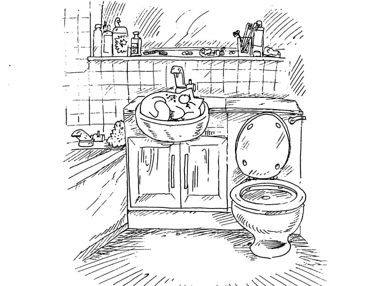 Иллюстрация к книге — Кот Саймона [Simons-Cat-118.jpg]