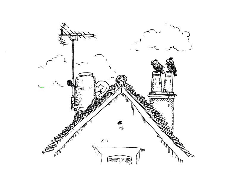 Иллюстрация к книге — Кот Саймона [Simons-Cat-212.jpg]