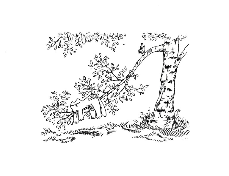 Иллюстрация к книге — Кот Саймона [Simons-Cat-214.jpg]