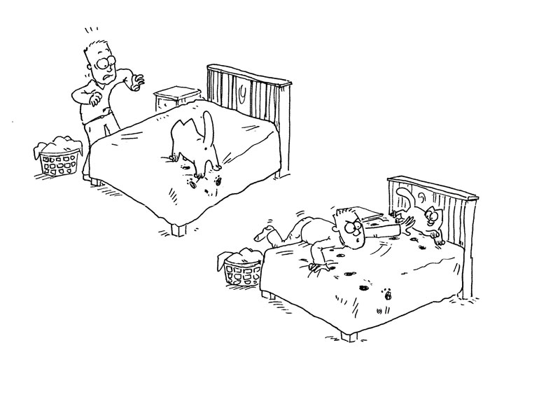 Иллюстрация к книге — Кот Саймона [Simons-Cat-34.jpg]