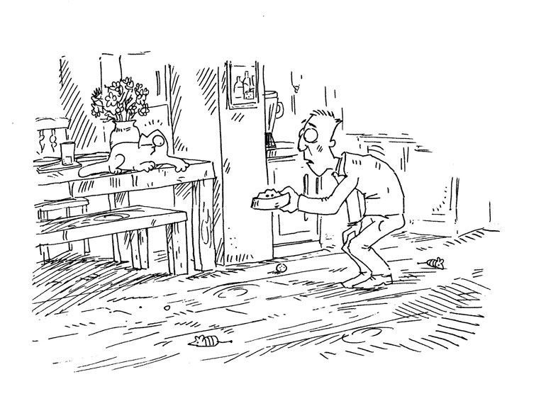 Иллюстрация к книге — Кот Саймона [Simons-Cat-41.jpg]