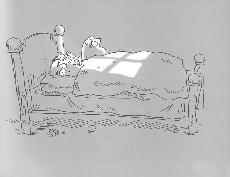 Иллюстрация к книге — Кот Саймона [Simons-Cat-9.jpg]