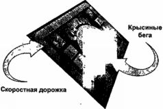Иллюстрация к книге — Отойти от дел молодым и богатым [Retire-young-and-rich-6000.jpg]