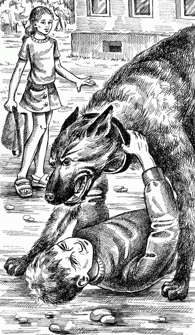 Иллюстрация к книге — Король хитрости [King-of-Tricks-012.png]