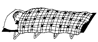 Иллюстрация к книге — Вечеринка с ночевкой [image170.png]