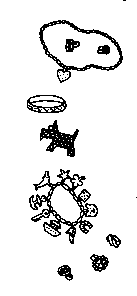 Иллюстрация к книге — Лучшие подруги [image700.png]